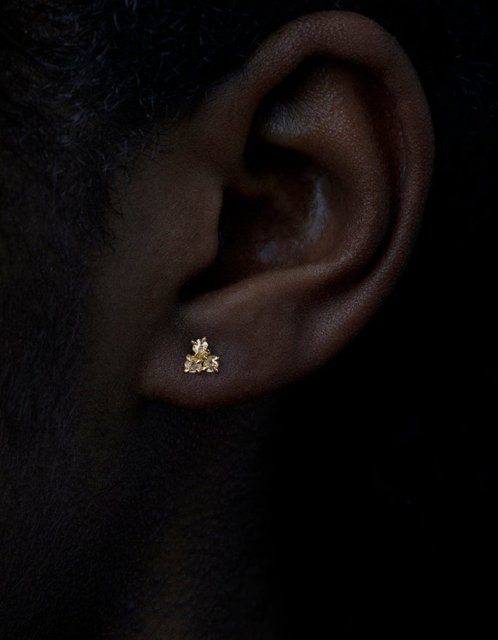 Sparkling Stars Earrings – 0.67 ct.